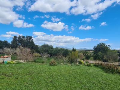 Finca zum Verkauf 3 km von Manacor