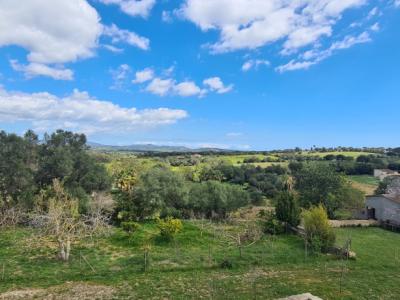 Finca zum Verkauf 3 km von Manacor