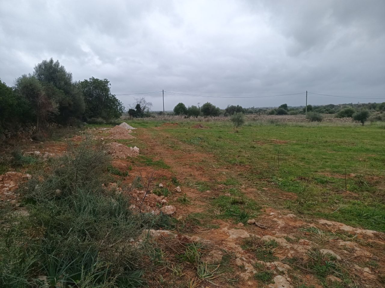 Flaches Grundstück mit Projekt bei Manacor - Portocristo -- T 09 VK