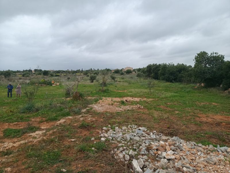 Flaches Grundstück mit Projekt bei Manacor - Portocristo -- T 09 VK