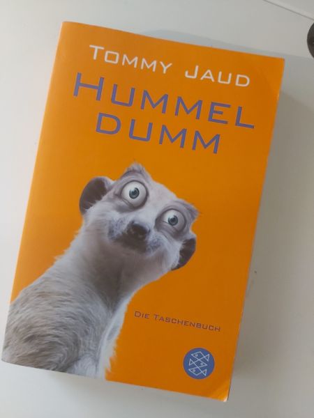 Novelas femeninas en alemán – libros usados