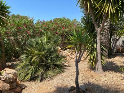 Detached house in Sa Vinyola