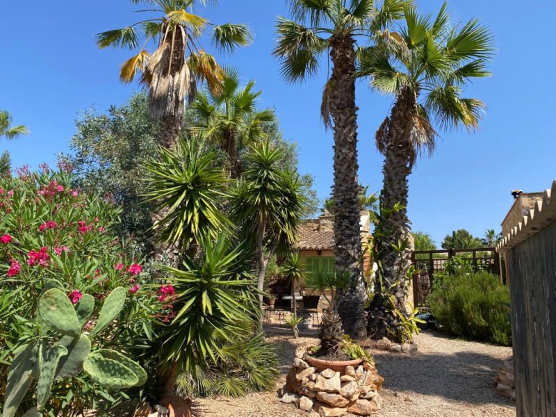 Detached house in Sa Vinyola