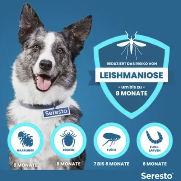 Collar Seresto 70 cm para perros grandes contra leishmaniasis, pulgas y garrapatas, embalaje original