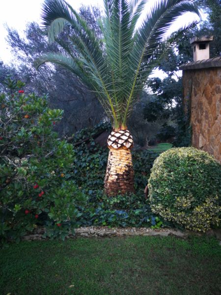 Gärtner Baumschneider