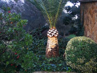 Gärtner Baumschneider