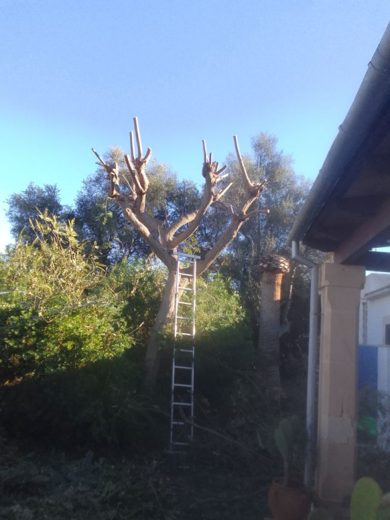 Jardinería, Mantenimiento de piscinas y hogar