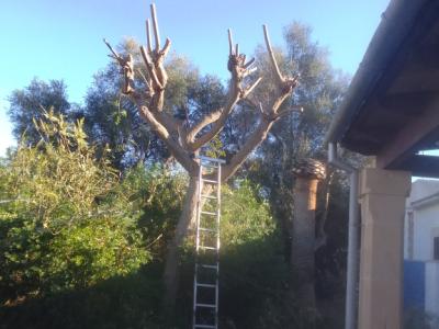 Jardinería, Mantenimiento de piscinas y hogar