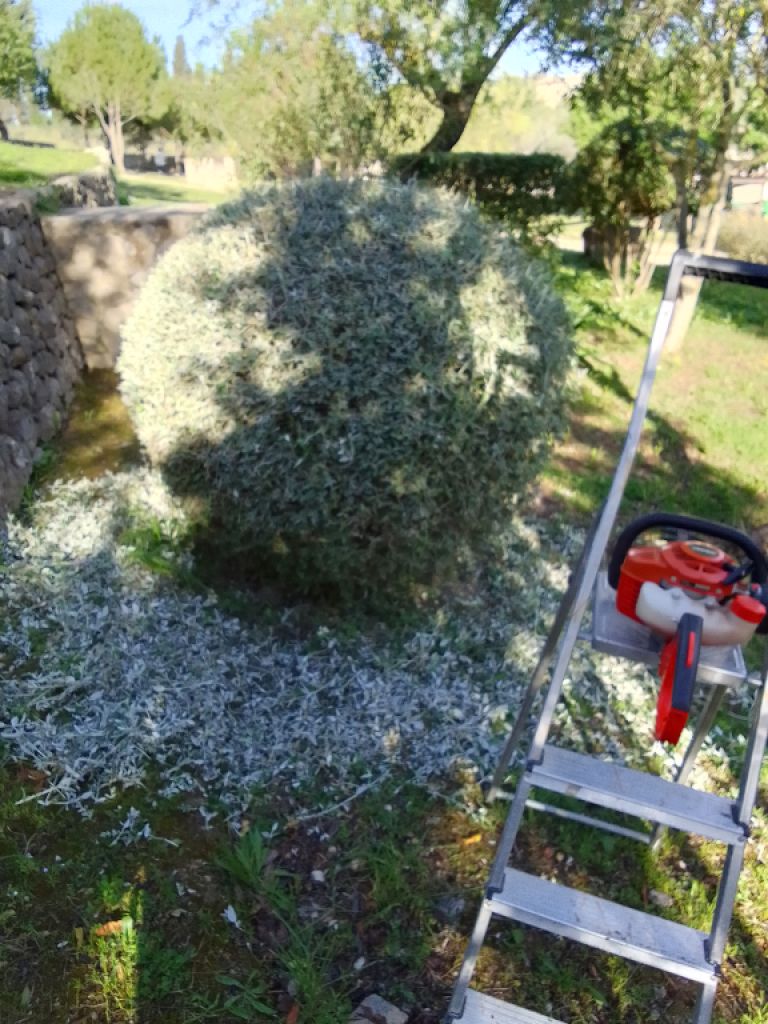 Jardinería, Mantenimiento de piscinas y hogar