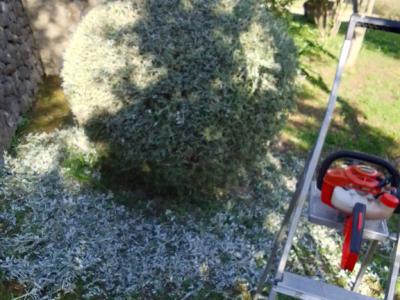 Jardinería, Mantenimiento de piscinas y hogar