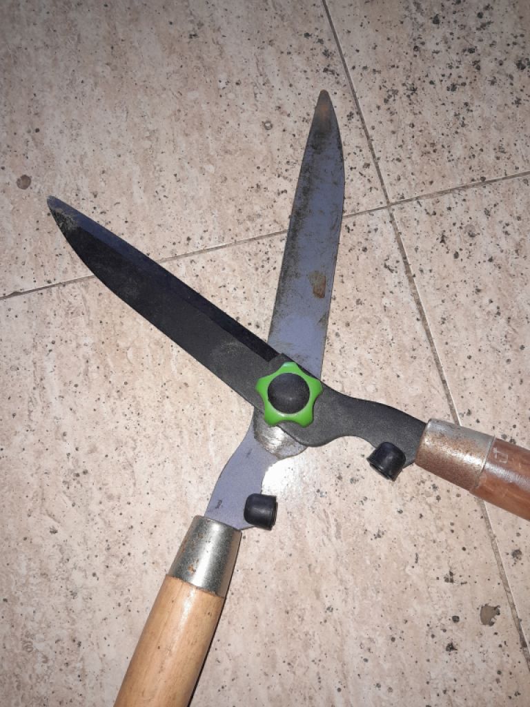 Tijeras de podar en venta