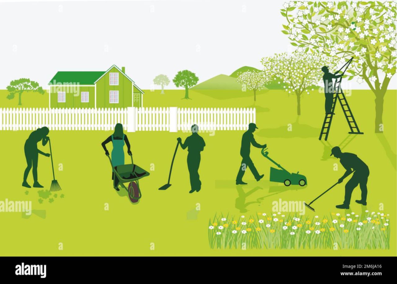 Servicios de Jardineria