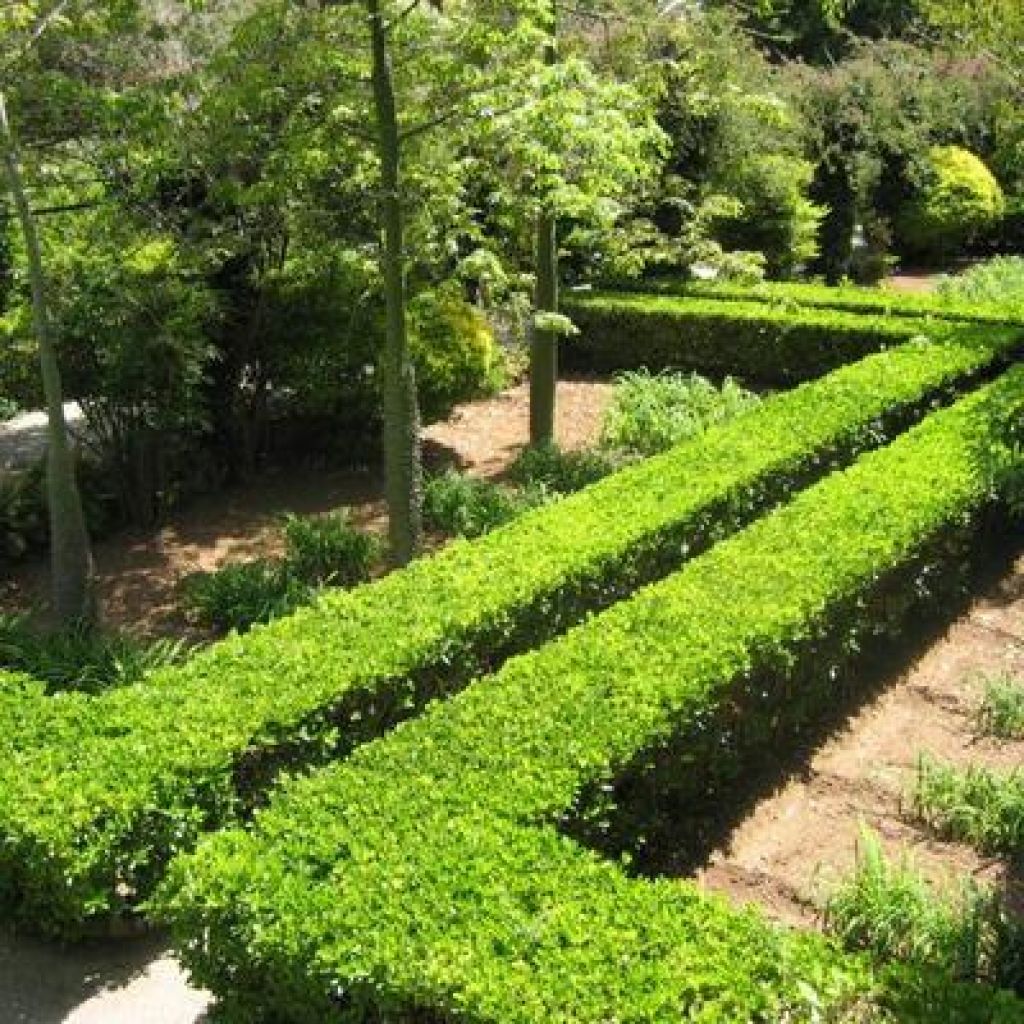 Servicios de Jardineria