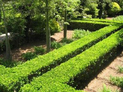 Servicios de Jardineria