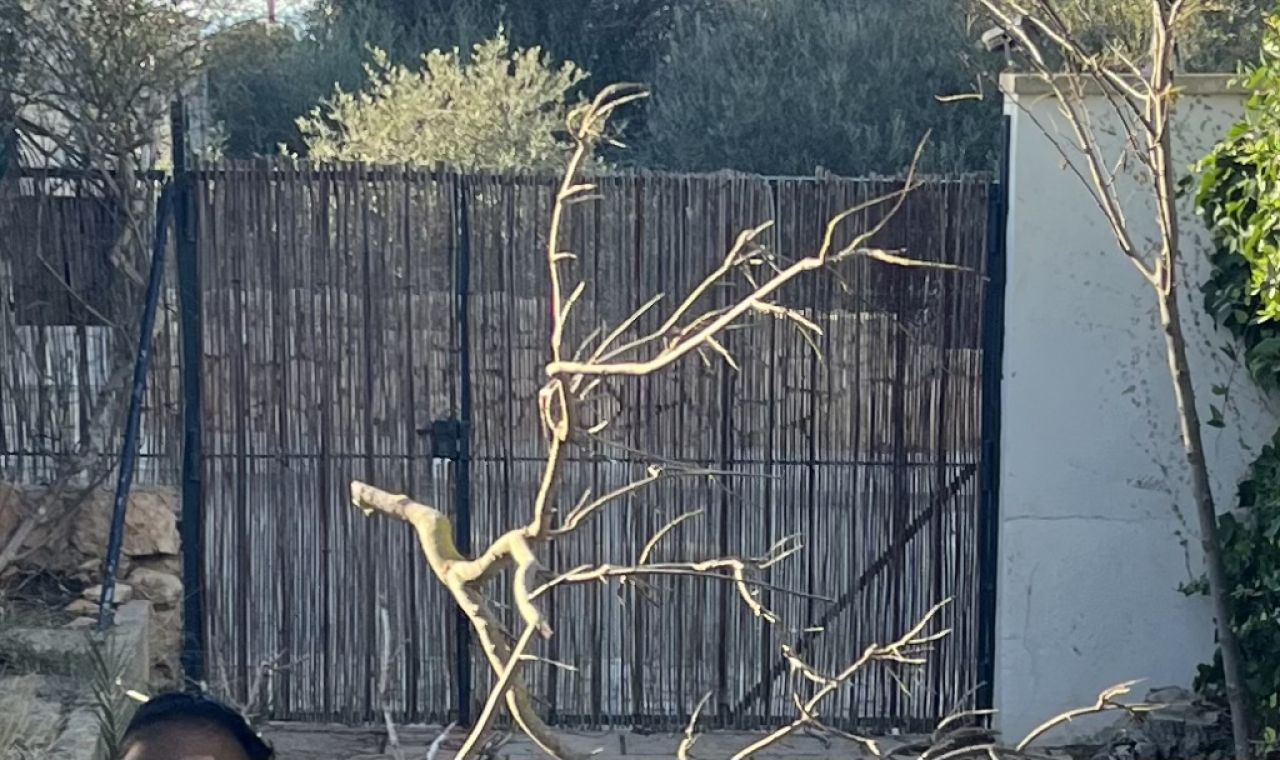 Gartentor, 2-flügelig, Volleisen!