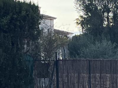 Gartentor, 2-flügelig, Volleisen!