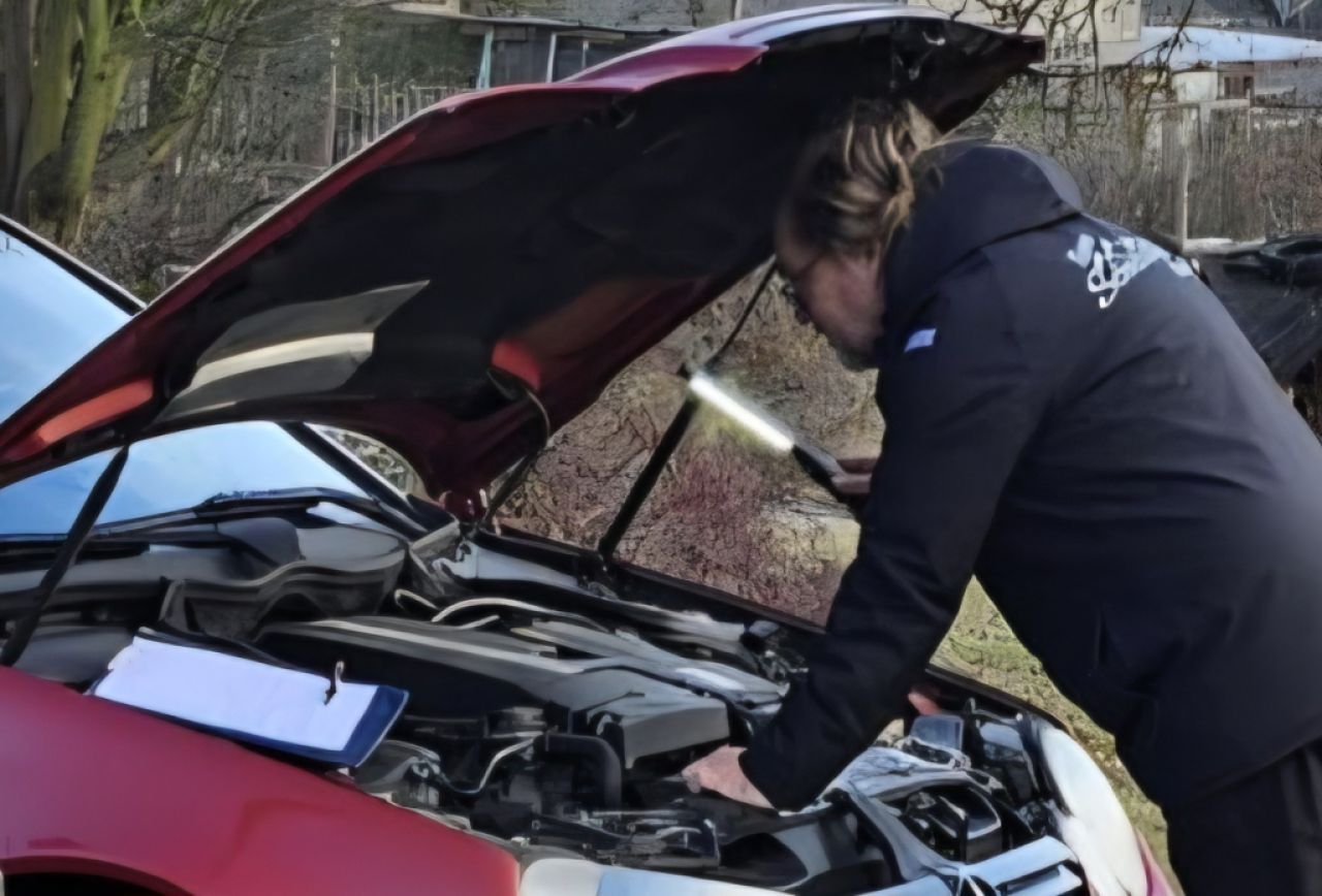 Inspección de coches de segunda mano, Servicio de coches usados