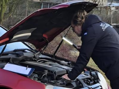 Inspección de coches de segunda mano, Servicio de coches usados
