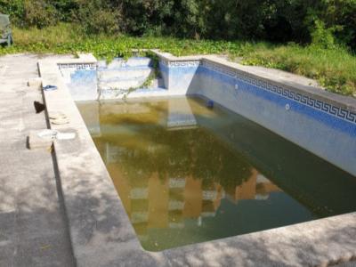 gelernter pool Bauer-PooL Profi