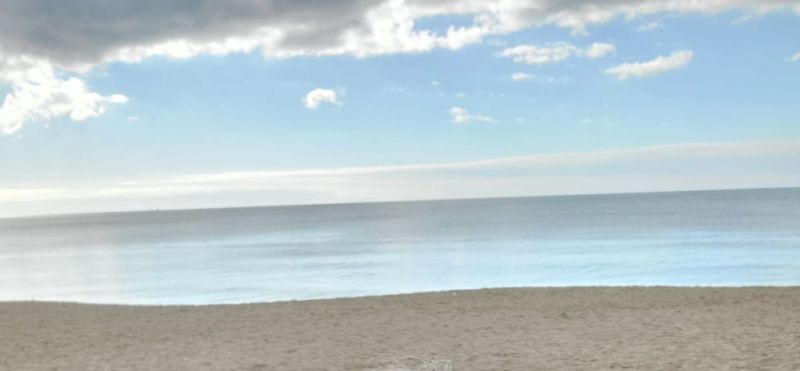 Descubrir la isla juntos