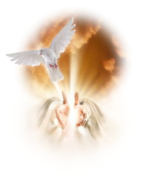 Gemeinsam wachsen – Heiler sucht Partner für Zusammenarbeit