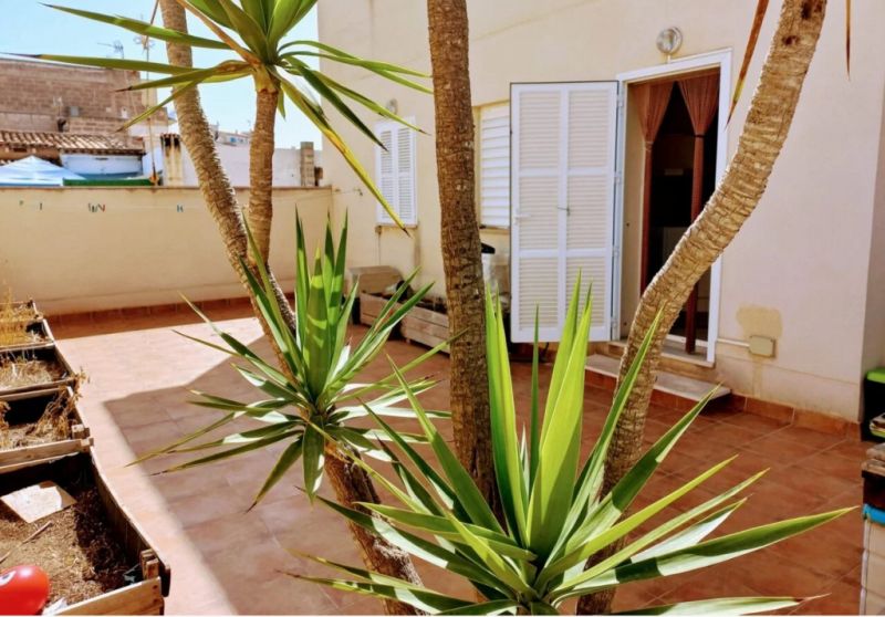 Gemütliche Wohnung im romantischem Fischerdorf von Porto Cristo