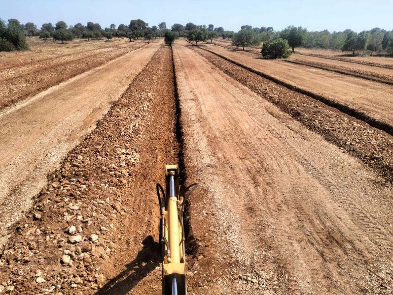 Zanjas para plantaciones de olivos, viña, frutales, algarrobos, almendros, etc.