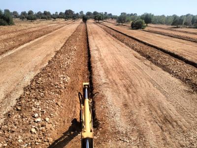 Zanjas para plantaciones de olivos, viña, frutales, algarrobos, almendros, etc.