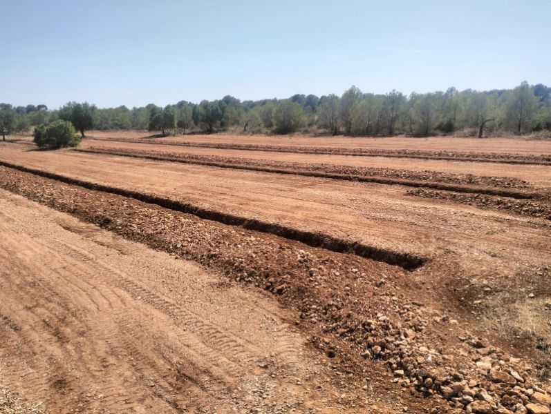 Zanjas para plantaciones de olivos, viña, frutales, algarrobos, almendros, etc.