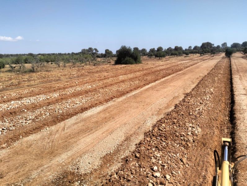 Zanjas para plantaciones de olivos, viña, frutales, algarrobos, almendros, etc.