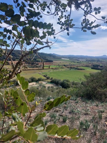 Große rustikale Finca mit Haus in Petra