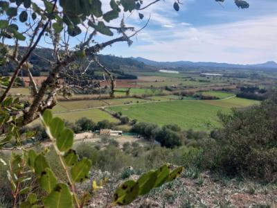 Große rustikale Finca mit Haus in Petra