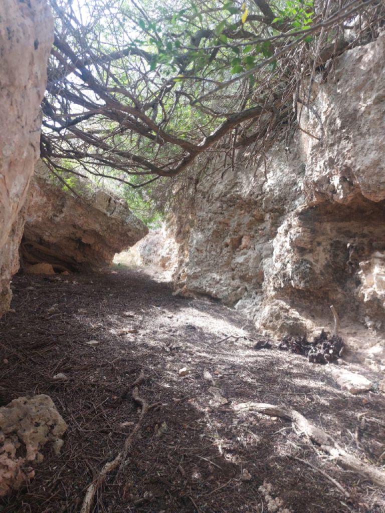 Große rustikale Finca mit Haus in Petra