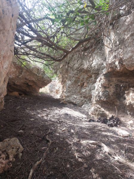 Große rustikale Finca mit Haus in Petra