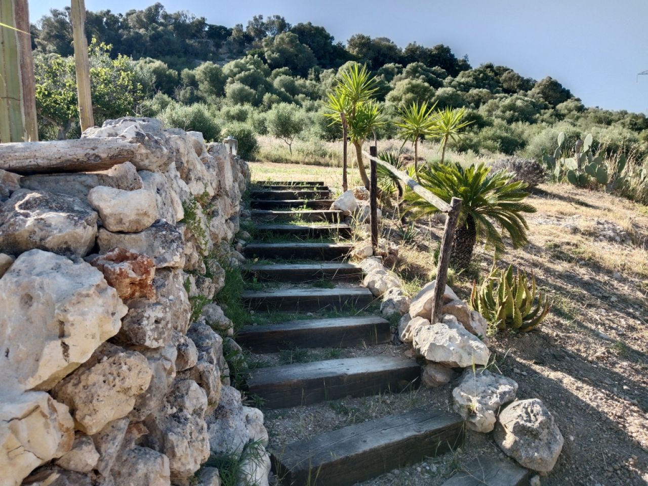 Große rustikale Finca mit Haus in Petra