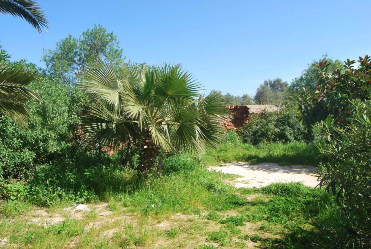 Grosses Apartment mit Garten, Terrasse und Garage in Santanyi --- AP 149