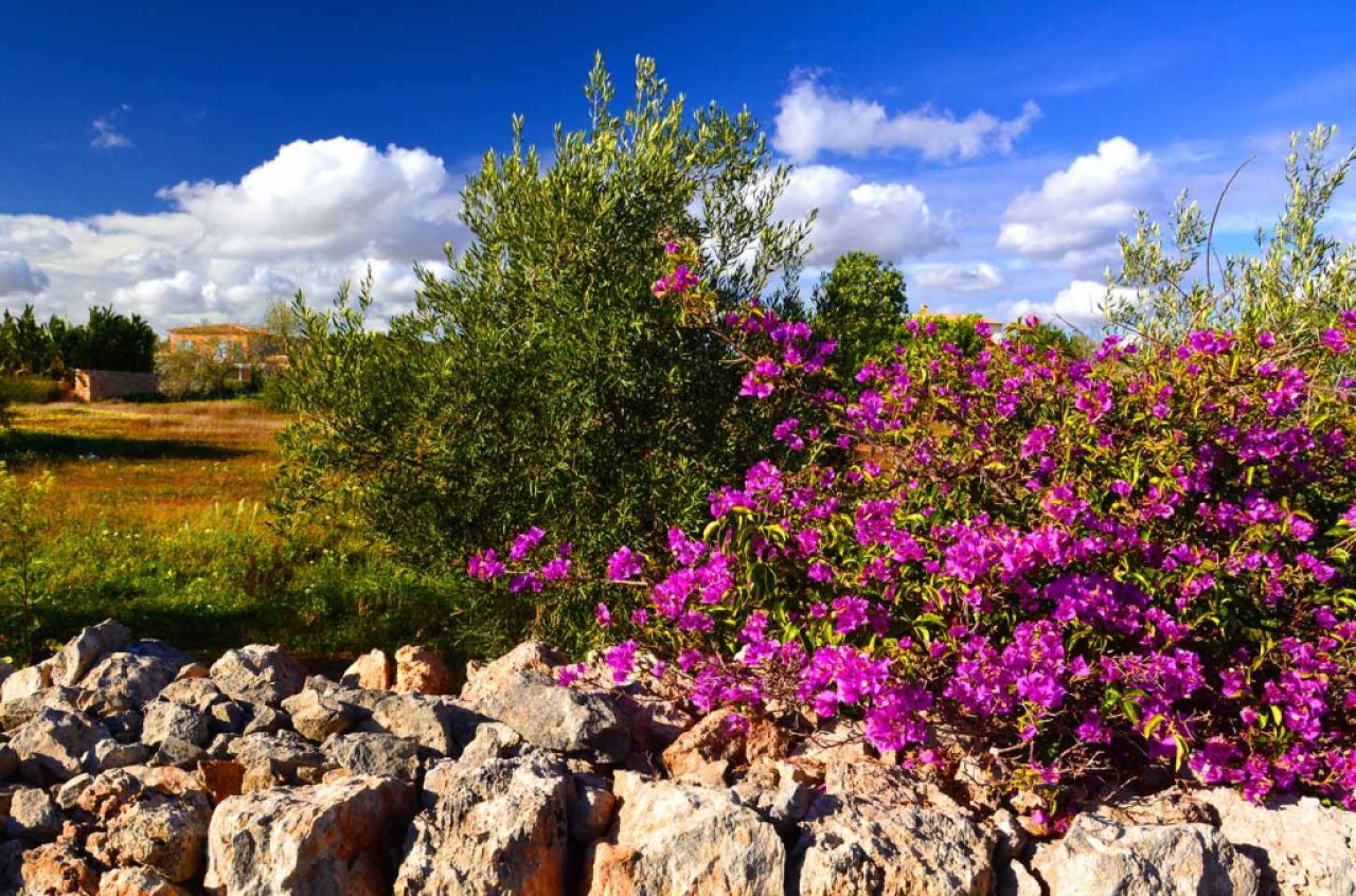 großes helles Zimmer, möbliert, Miniküche,Duschbad , wlan, gartenanteil, balkon , pool .