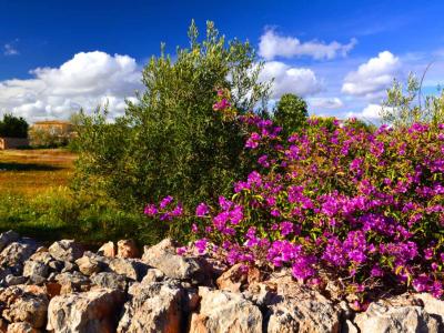 großes helles Zimmer, möbliert, Miniküche,Duschbad , wlan, gartenanteil, balkon , pool .