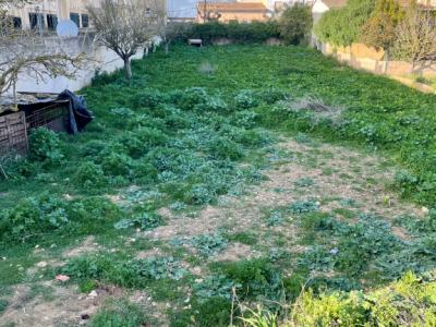 Grosses, städtisches Grundstück mit 2 Zugängen in Cas Concos -- S 03 VK