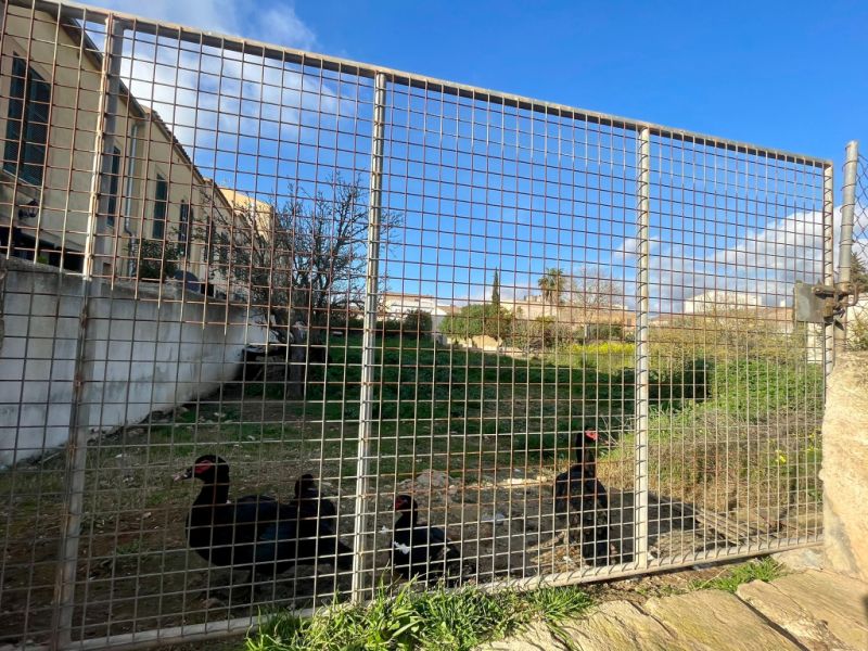 Grosses, städtisches Grundstück mit 2 Zugängen in Cas Concos -- S 03 VK