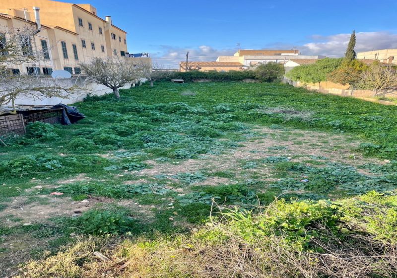 Grosses urbanes Grundstück in Cas Concos --- S 03