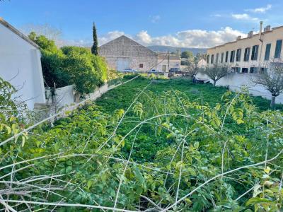 Grosses urbanes Grundstück in Cas Concos --- S 03