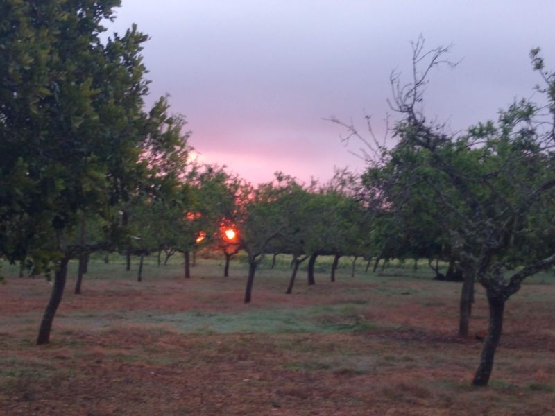 Terreno cerca de Santanyi 16300me