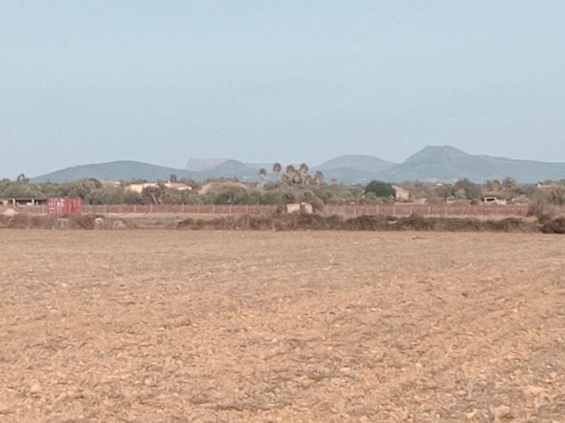 Parcela en Son Valls con proyecto base aprobado