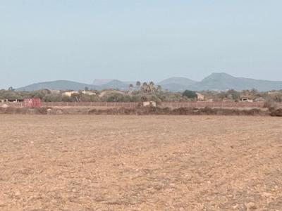 Parcela en Son Valls con proyecto base aprobado