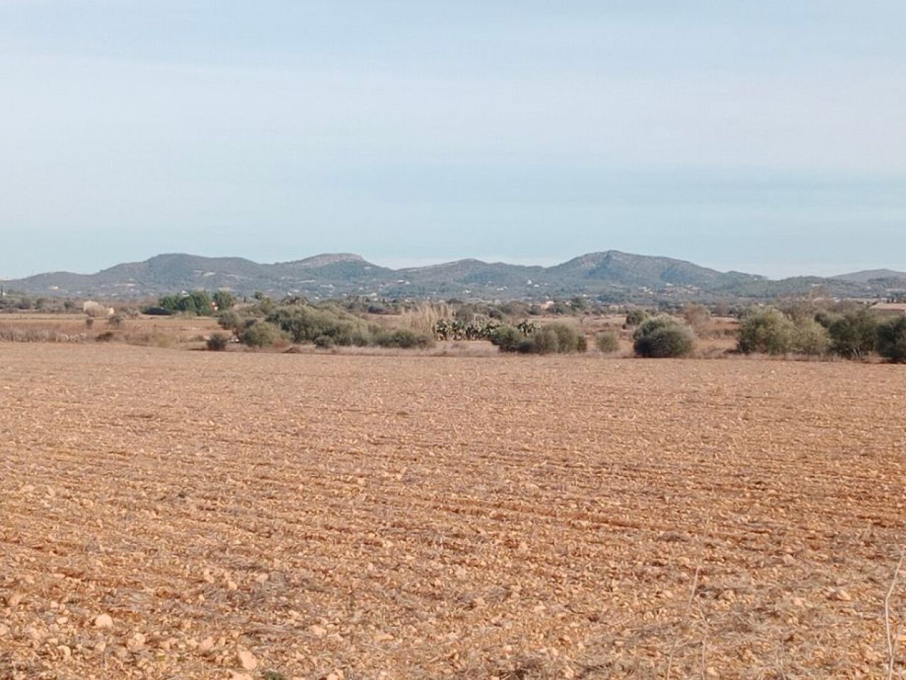 Parcela en Son Valls con proyecto base aprobado