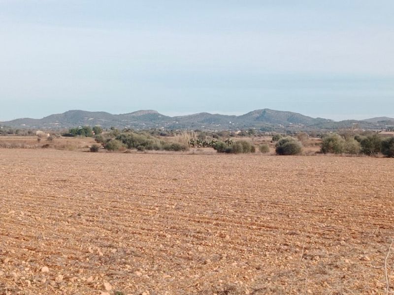 Parcela en Son Valls con proyecto base aprobado