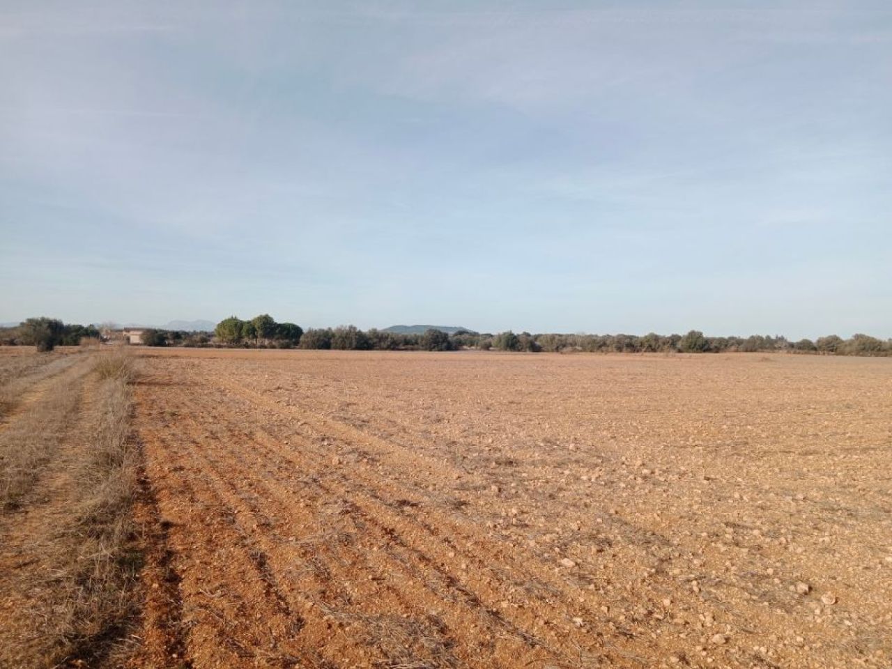 Parcela en Son Valls con proyecto base aprobado