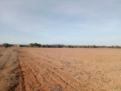 Parcela en Son Valls con proyecto base aprobado