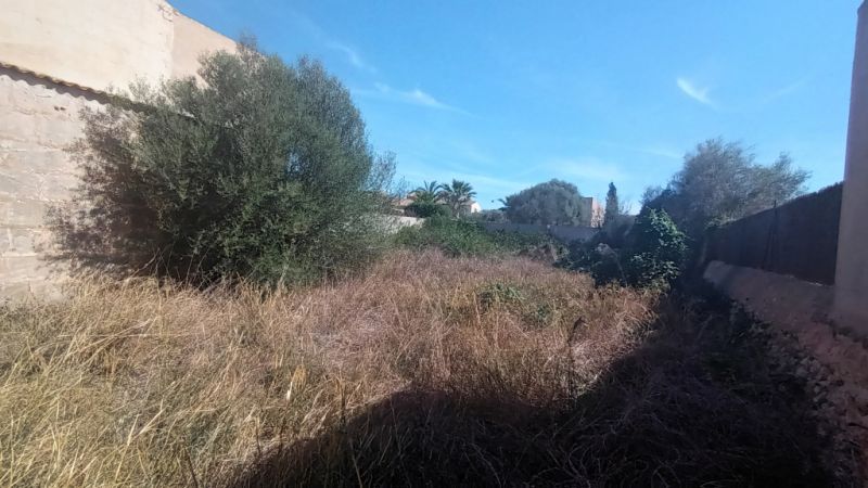 Plot in a central location with a large storage room in Es LLombards --- S 13